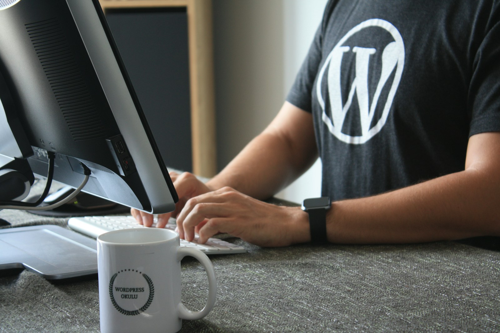 Guía: Wordpress para Desarrolladores