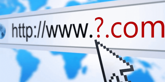 ¿Qué es un Dominio Web?