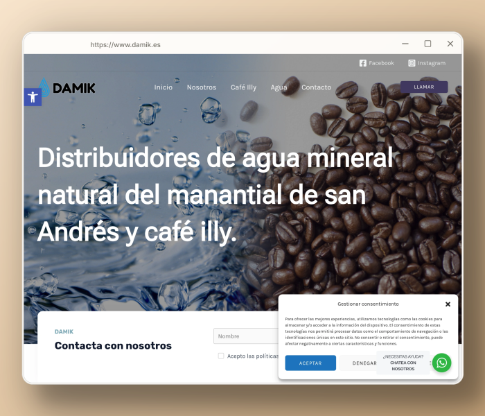 Damik