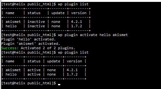 Qué es WP CLI: Guía práctica para usarlo en WordPress