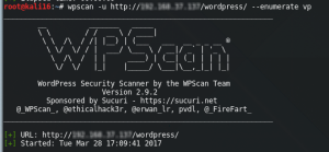 escanear wordpress wpscan 